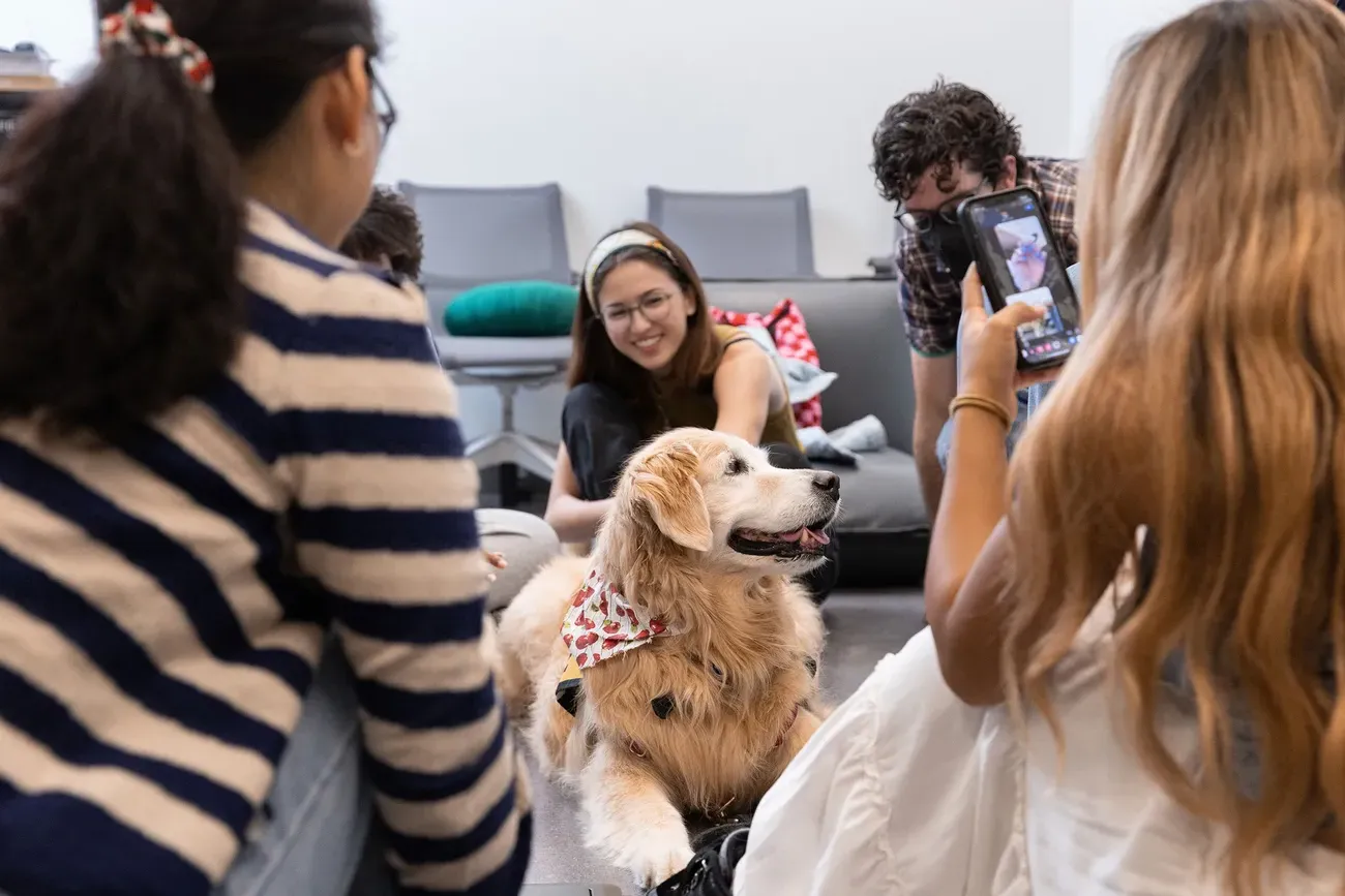 学生们在拱门的巴恩斯中心参加宠物治疗.